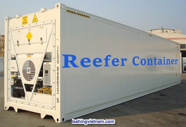 Container Lạnh Là Gì Và Cách Đóng Hàng An Toàn Vào Container Lạnh